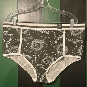 Torrid Harry Potter Map Brief panty
